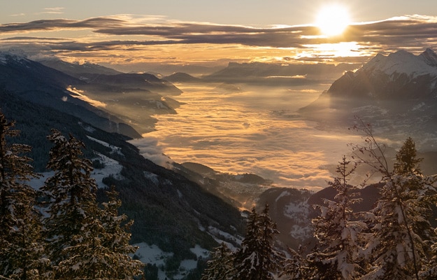 vignette-or-blanc-home