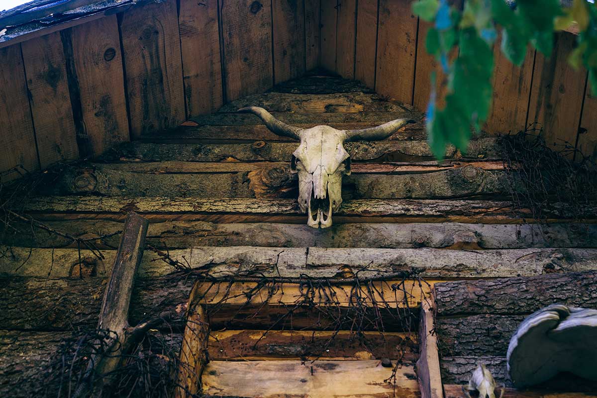 visuel-pris-au-piege-04